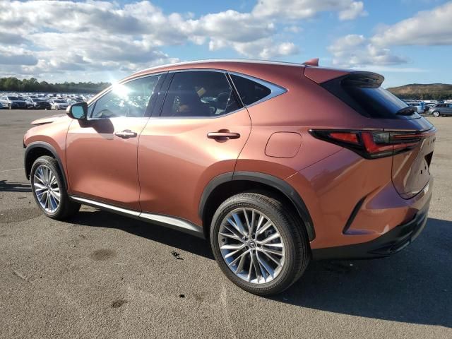 2025 Lexus NX 350 Premium