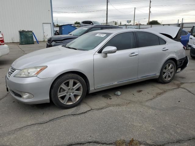 2010 Lexus ES 350