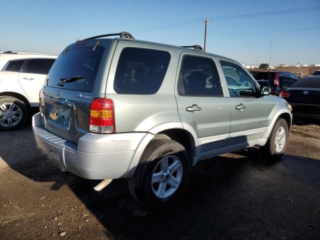 2006 Ford Escape HEV