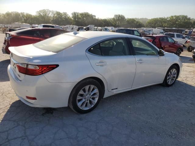 2013 Lexus ES 300H