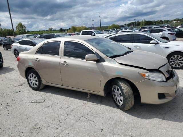 2010 Toyota Corolla Base