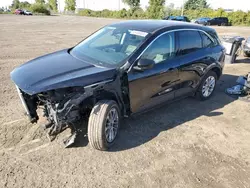 Salvage cars for sale at Montreal Est, QC auction: 2021 Ford Escape SE