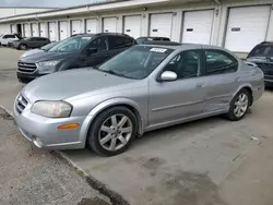 Salvage cars for sale at Louisville, KY auction: 2003 Nissan Maxima GLE