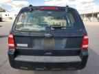 2010 Ford Escape XLS