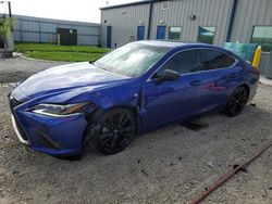 Salvage cars for sale at Arcadia, FL auction: 2021 Lexus ES 350 Base