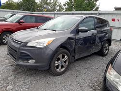 Salvage cars for sale at Walton, KY auction: 2013 Ford Escape SE