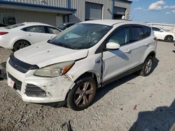 Ford Vehiculos salvage en venta: 2014 Ford Escape SE