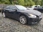 2009 Nissan Maxima S