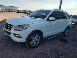 Salvage cars for sale at Phoenix, AZ auction: 2014 Mercedes-Benz ML 350 4matic