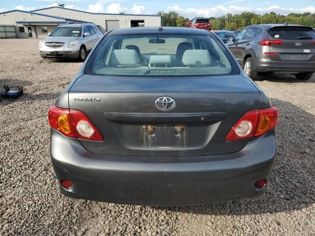 2010 Toyota Corolla Base