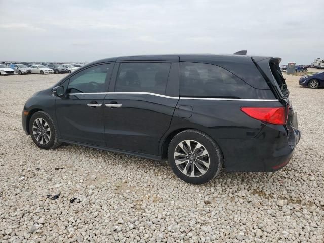 2023 Honda Odyssey EXL