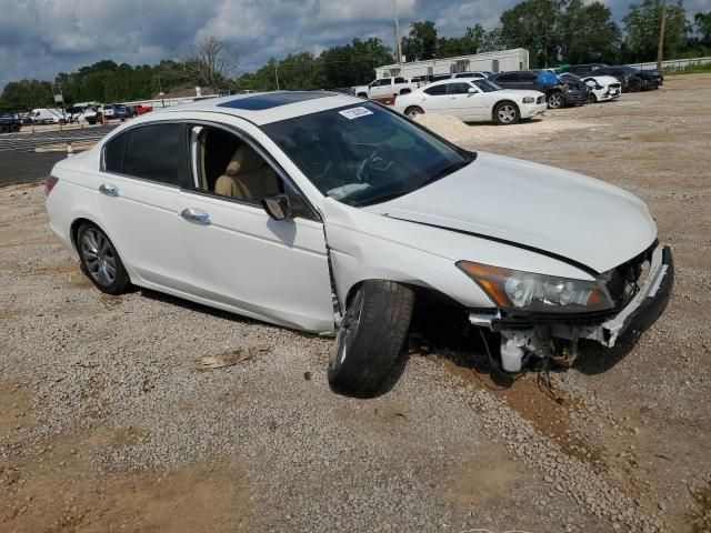 2011 Honda Accord EXL