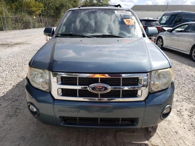 2011 Ford Escape Limited