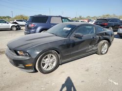 Salvage cars for sale at Indianapolis, IN auction: 2011 Ford Mustang