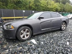 Salvage cars for sale at Waldorf, MD auction: 2014 Dodge Charger SE