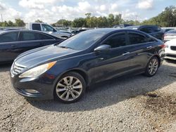 Salvage cars for sale at Arcadia, FL auction: 2013 Hyundai Sonata SE