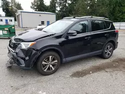 Toyota salvage cars for sale: 2016 Toyota Rav4 XLE