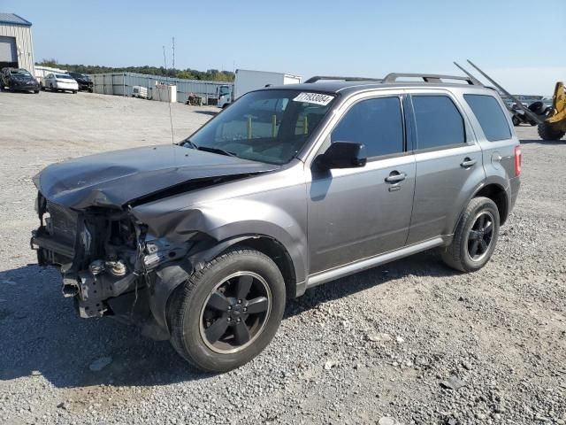 2011 Ford Escape XLT