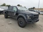 2017 Ford F150 Raptor