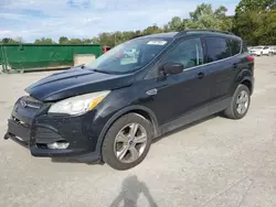 Salvage cars for sale at Ellwood City, PA auction: 2014 Ford Escape SE