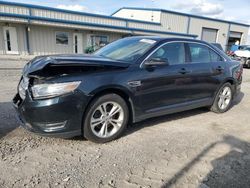 Salvage cars for sale at Earlington, KY auction: 2014 Ford Taurus SEL