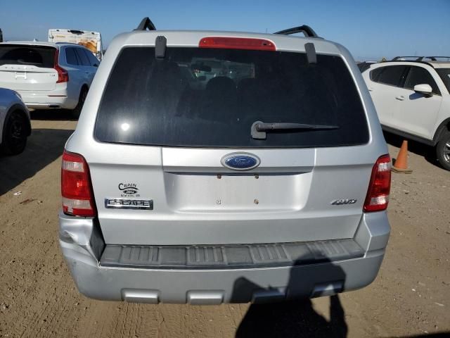 2008 Ford Escape XLT