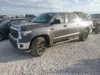 2019 Toyota Tundra Crewmax SR5