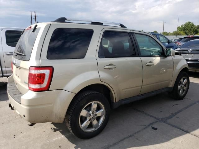 2012 Ford Escape Limited