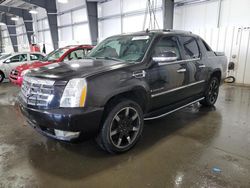 Salvage trucks for sale at Ham Lake, MN auction: 2008 Cadillac Escalade EXT