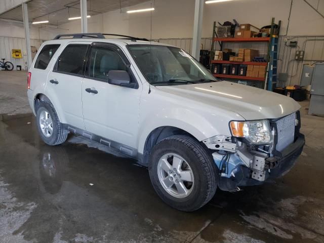 2009 Ford Escape XLT