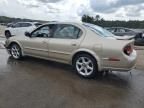 2001 Nissan Maxima GXE