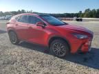 2025 Lexus NX 350H Base