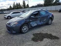 Salvage cars for sale at Graham, WA auction: 2016 Toyota Corolla ECO