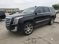 2016 Cadillac Escalade Premium en venta en Wilmer, TX