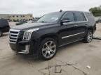 2016 Cadillac Escalade Premium