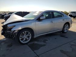 Salvage cars for sale at Grand Prairie, TX auction: 2013 Nissan Maxima S