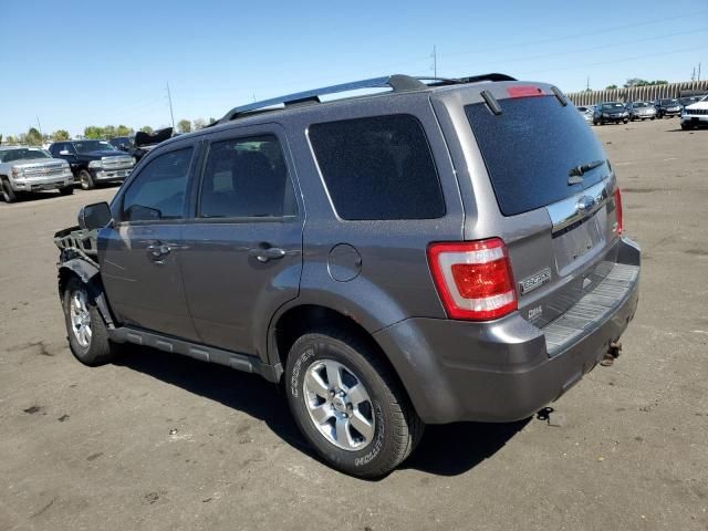 2011 Ford Escape Limited