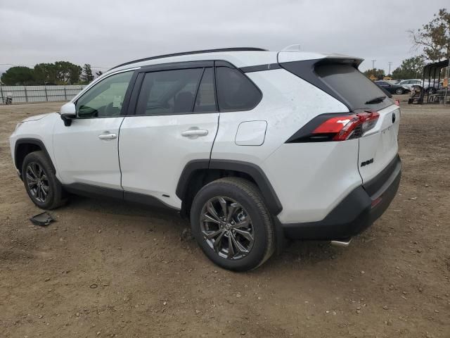 2023 Toyota Rav4 XLE Premium