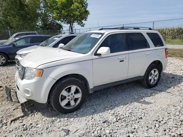 2012 Ford Escape Limited