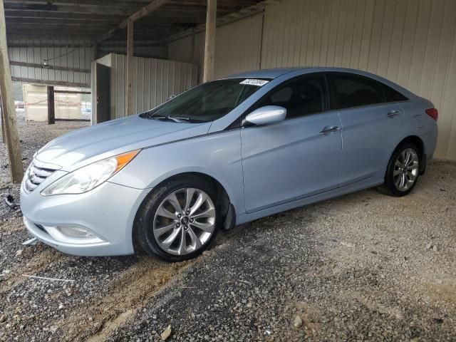 2011 Hyundai Sonata SE