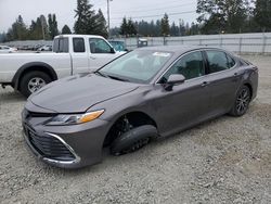 Hybrid Vehicles for sale at auction: 2024 Toyota Camry XLE