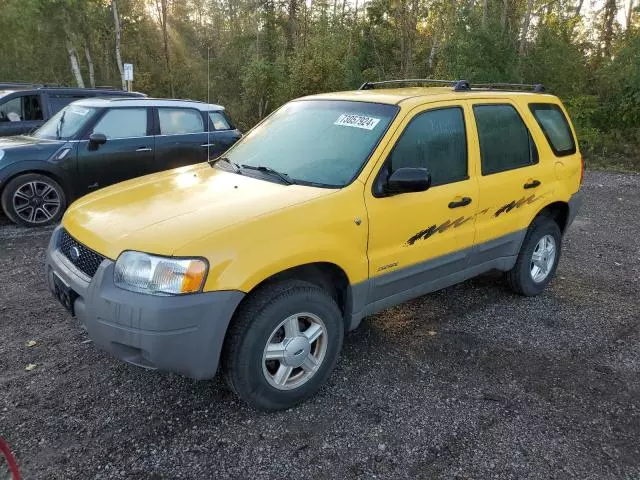 2002 Ford Escape XLS