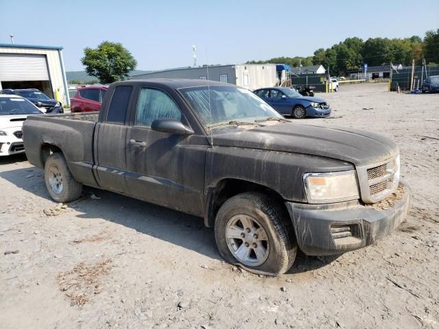 2008 Dodge Dakota SXT