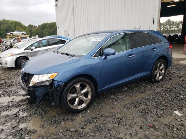 2010 Toyota Venza