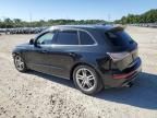 2014 Audi SQ5 Premium Plus