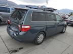 2005 Honda Odyssey LX