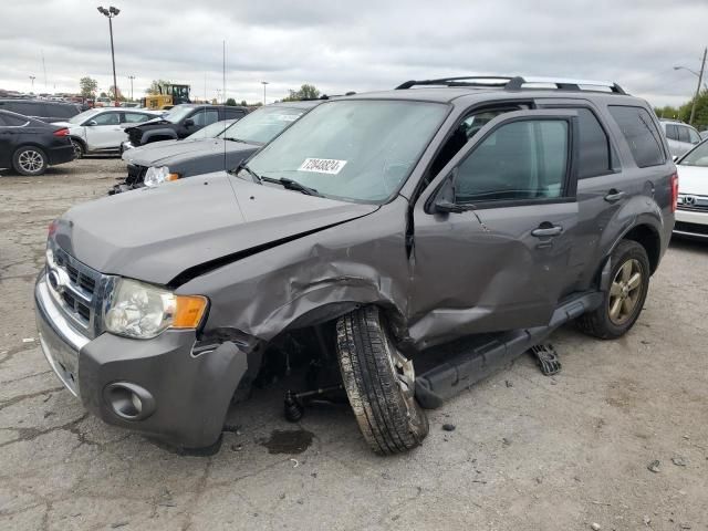 2012 Ford Escape Limited