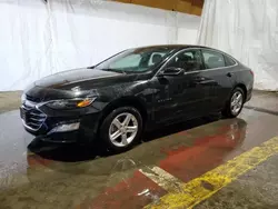 Salvage cars for sale at Marlboro, NY auction: 2024 Chevrolet Malibu LT