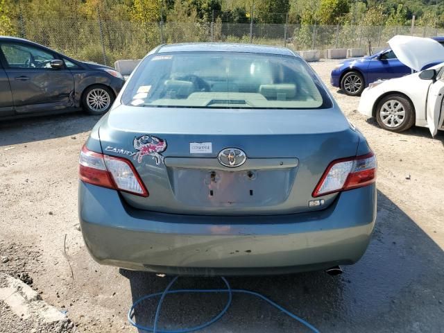 2009 Toyota Camry Hybrid