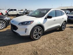 Salvage cars for sale at Brighton, CO auction: 2022 Ford Escape SEL